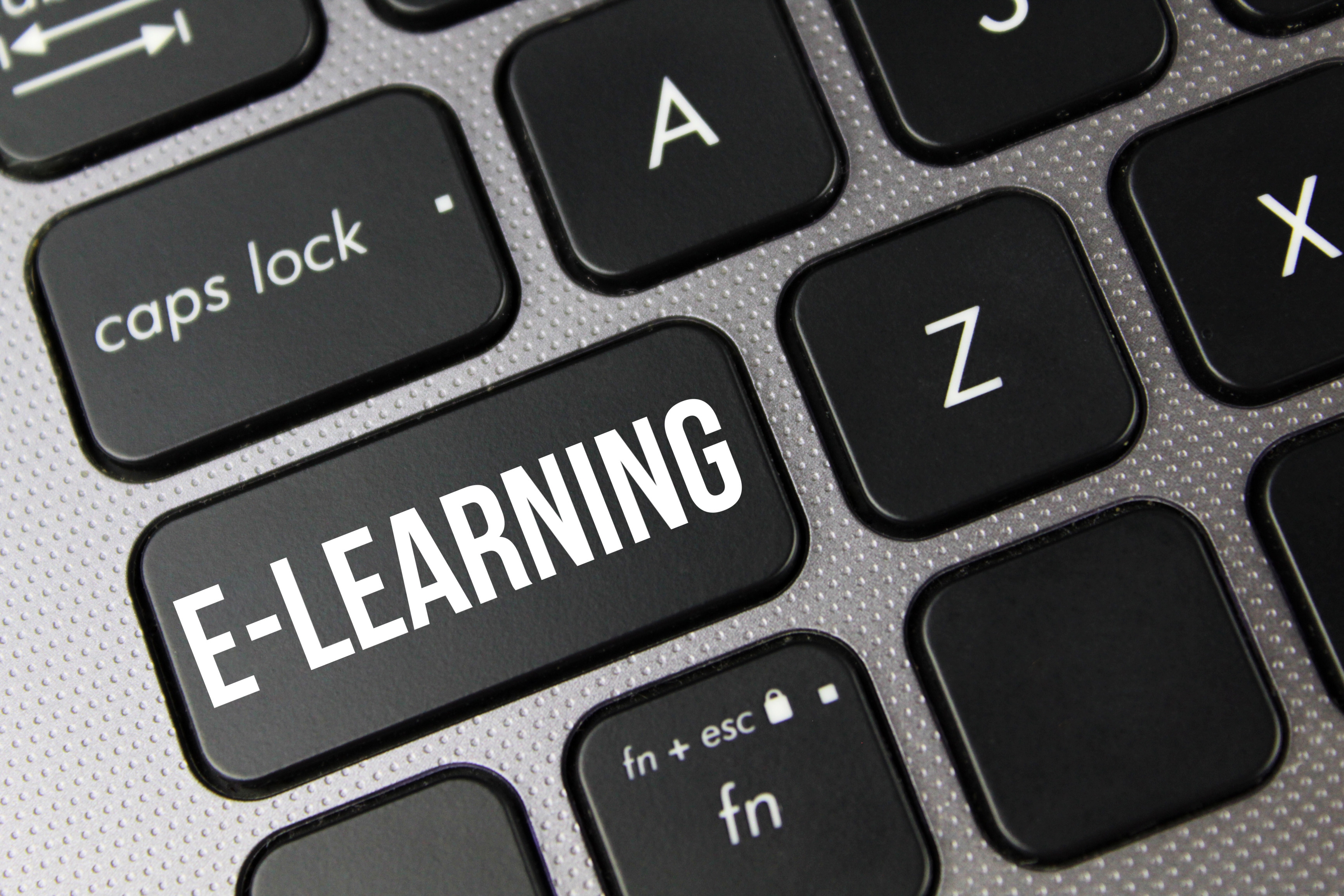 Reducing Costs with E-Learning: A Win-Win for Students and Course Providers