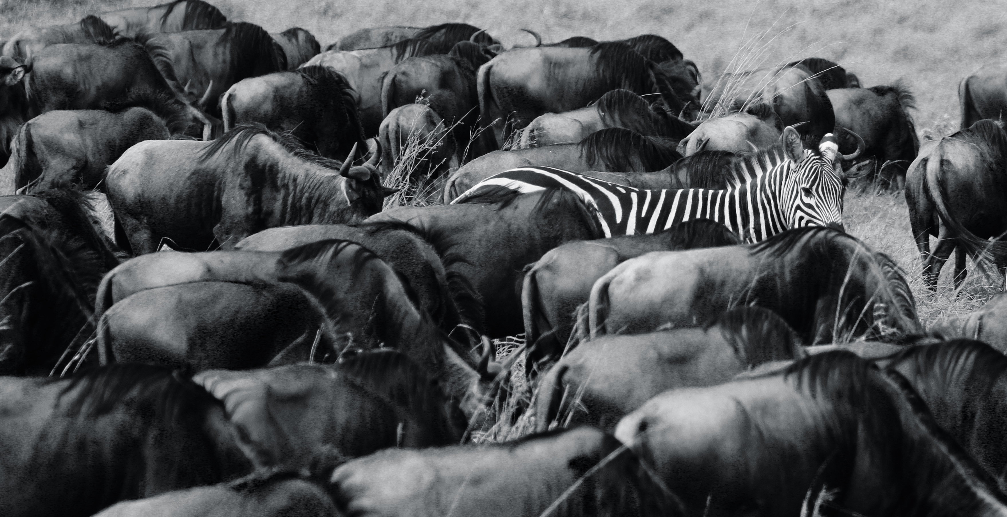 Find Your Point of Difference and Make Selling Easier