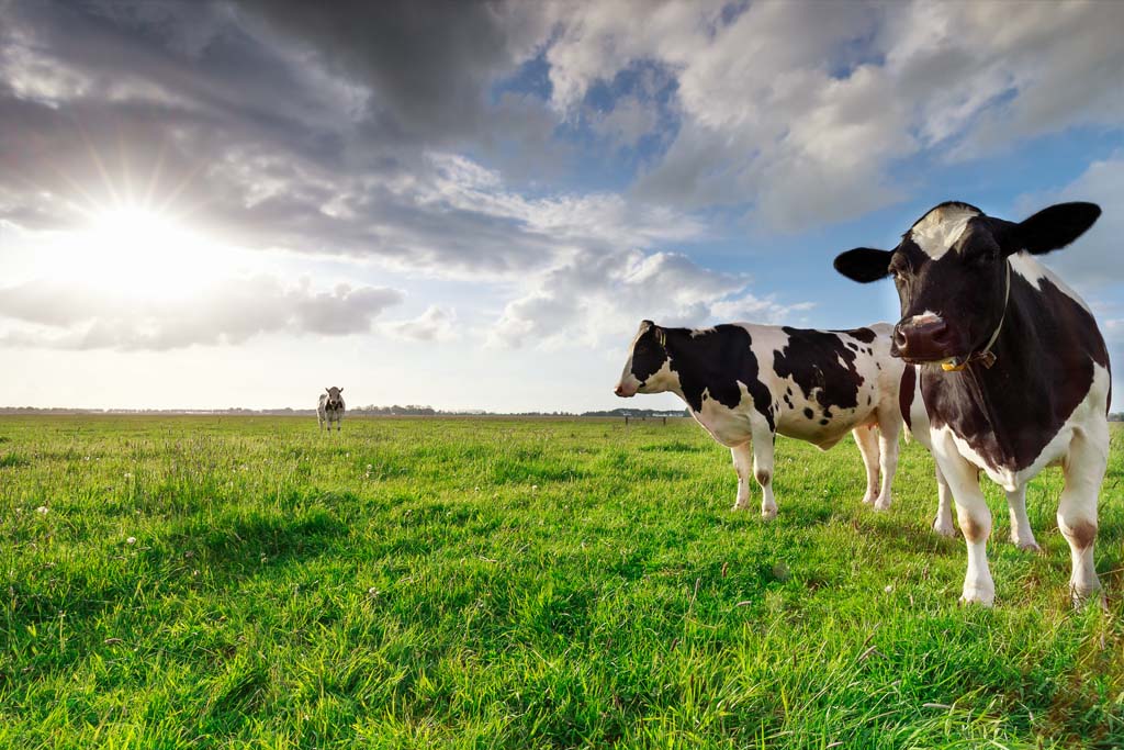 Train Agricultural Workers -  Meet the Staffing Shortage